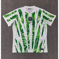 Maillot Nigéria — Édition Vert